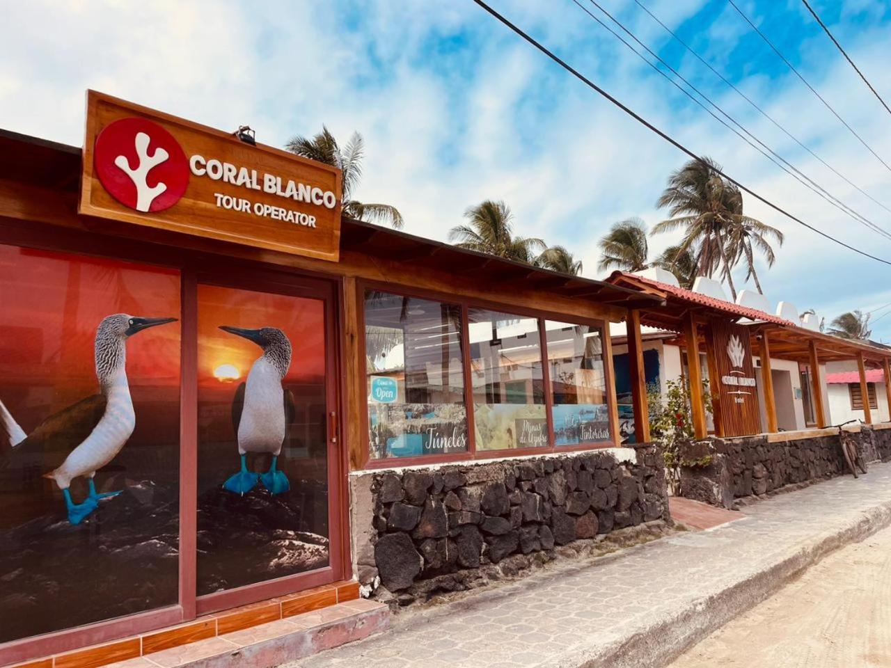 Hotel Coral Blanco With High Speed Internet Starlink And Galapagos Tour Operator Puerto Villamil Ngoại thất bức ảnh
